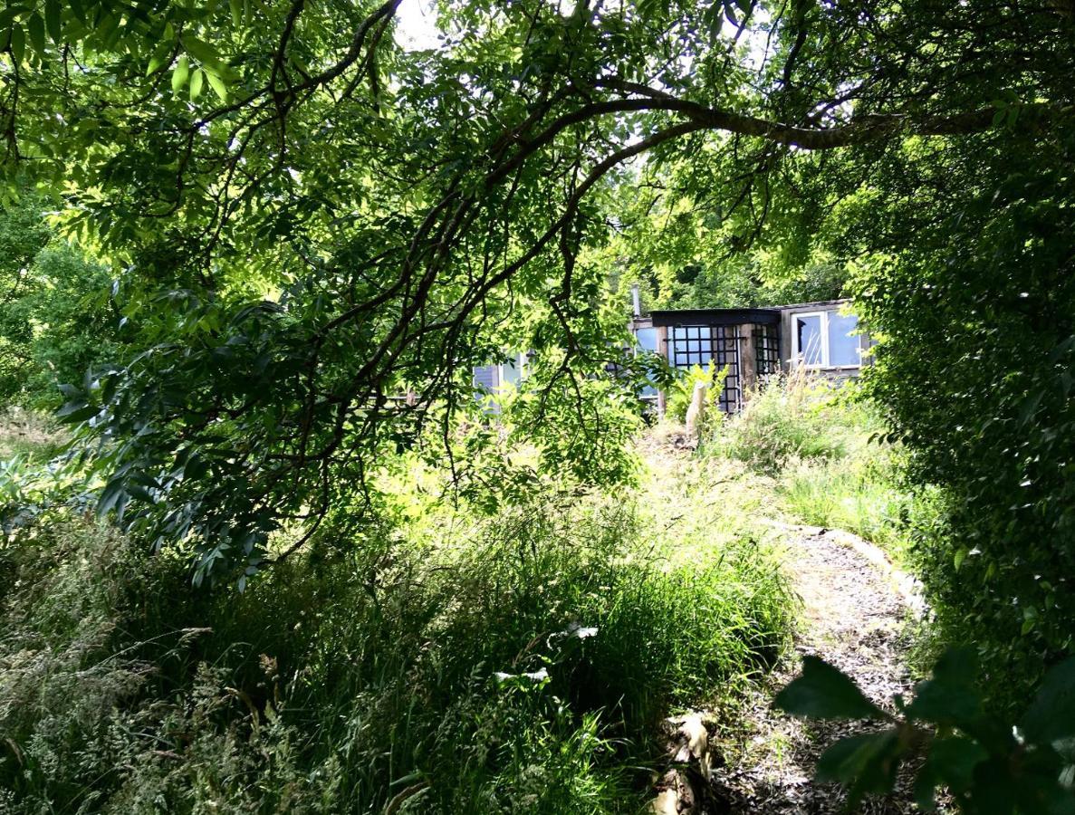Field Hut Villa Уейдбридж Екстериор снимка